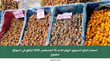 أسعار البلح السيوي اليوم الأحد 10 أغسطس 2025 ترتفع في أسواق مطروح